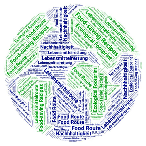 Idegen nyelvi verseny